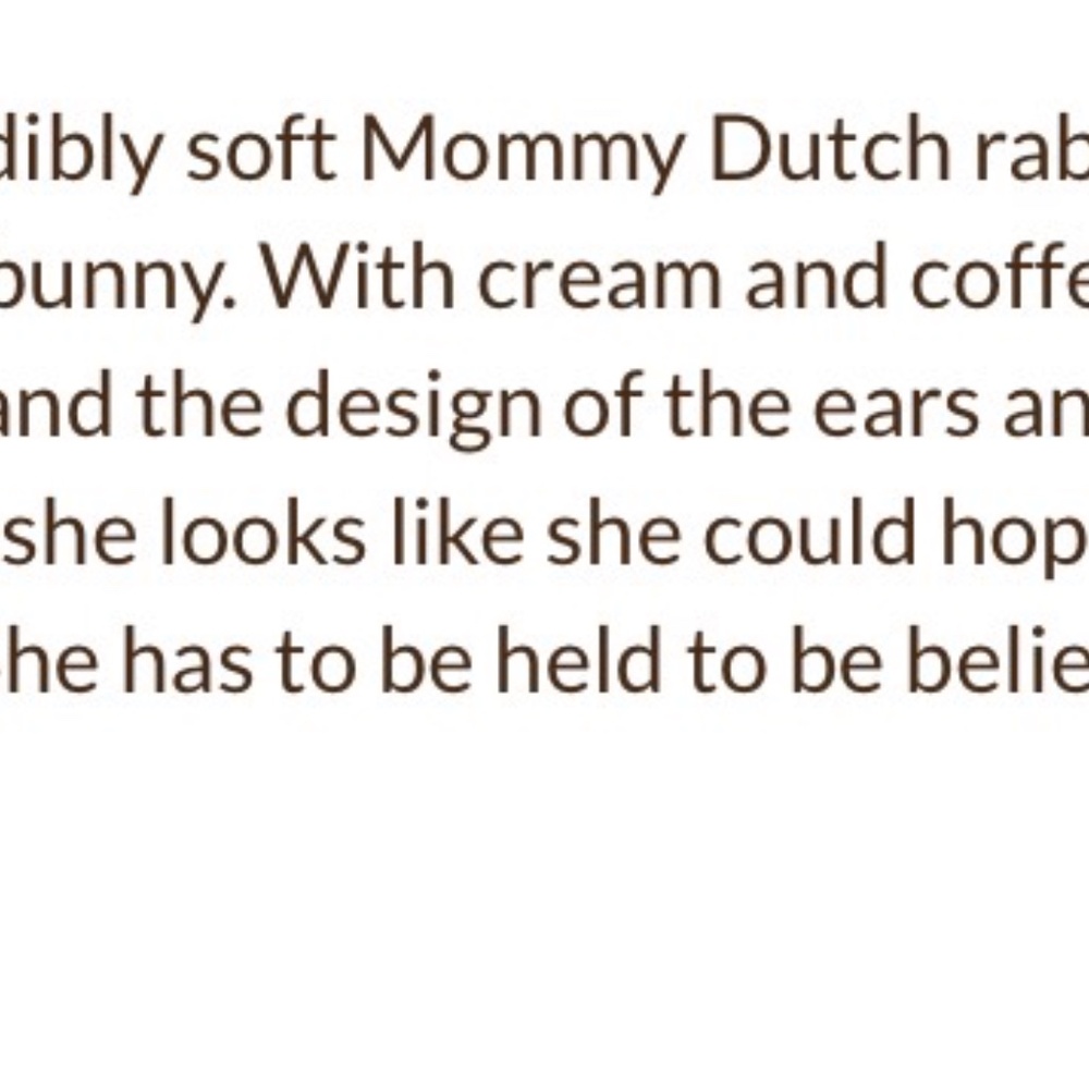 Folkmanis Puppet Dutch Rabbit - Picture 5 of 5